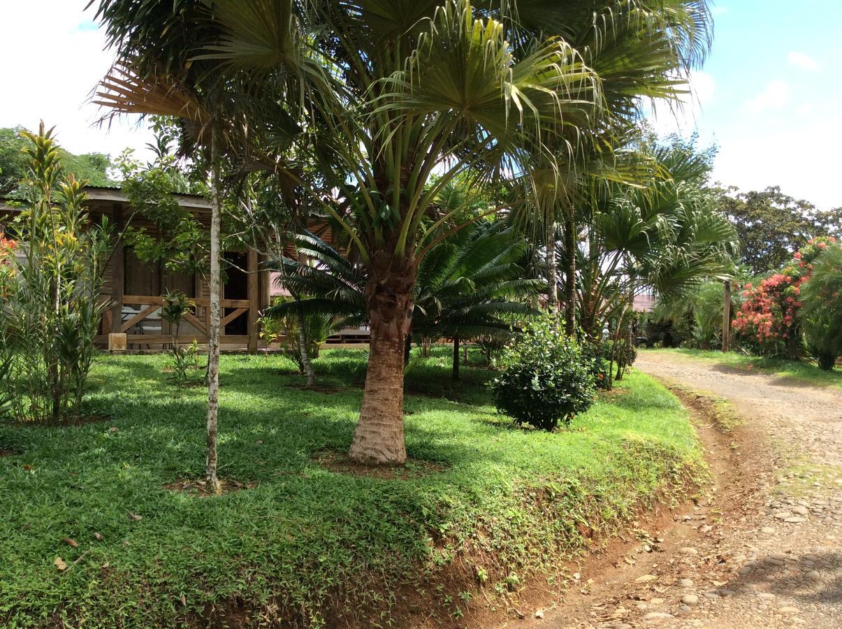 Hotel Pedacito De Cielo Boca Tapada Екстер'єр фото