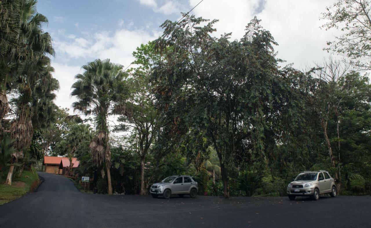 Hotel Pedacito De Cielo Boca Tapada Екстер'єр фото